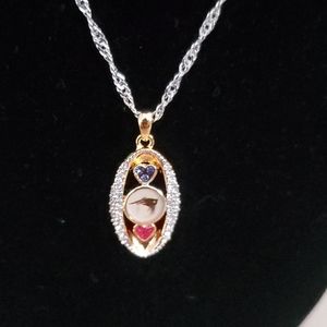 Bradford Exchange Patriots Pride NFL Logo Necklace